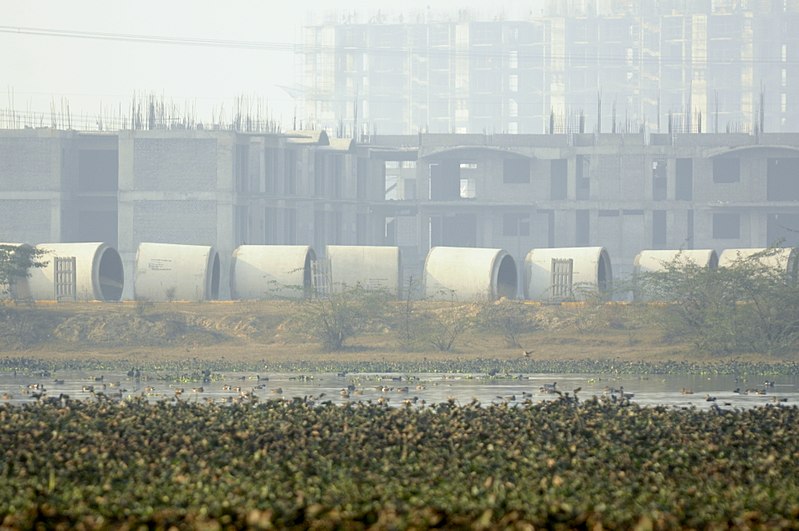 File:Basai Wetland Gurgaon DSC9266.JPG