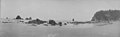 Beach and shoreline at Lonely Cove, Pacific Coast, Washington, ca 1906 (WASTATE 1707).jpeg