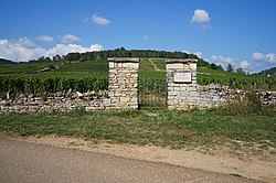 Portals of Domaine de La Bulle, vineyard of Beaune Bourgogne