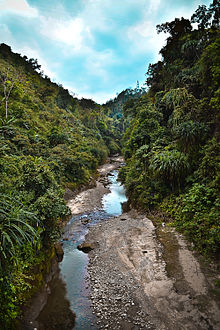 The scenic beauty of Bhalukpong in West Kameng district