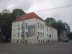 Biblioteca Bucovinei I.G. Sbiera din Suceava1.jpg