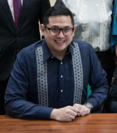 Bam Aquino Bicam Final Reading Balik Scientist Act cropped.png