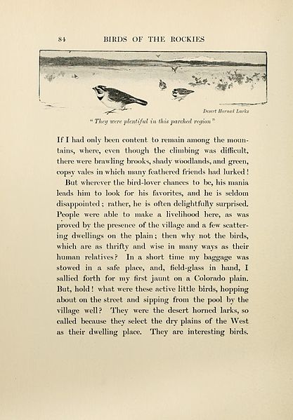 File:Birds of the Rockies BHL6515057.jpg