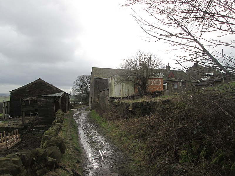 File:Black Boy Farm - geograph.org.uk - 4325741.jpg