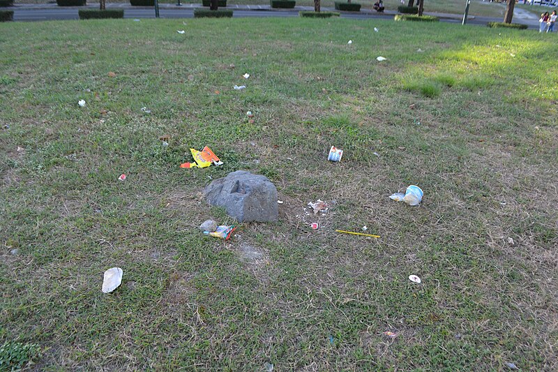 File:Bonifacio Global City trash 01.jpg