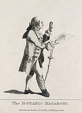 Satire on Banks titled "The Botanic Macaroni",by Matthew Darly,1772:A macaroni was a pejorative term used for a follower of exaggerated continental fashion in the 18th century. BotanicMacaroni.jpg