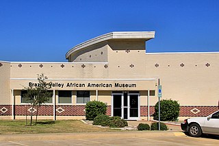 <span class="mw-page-title-main">History of African Americans in Texas</span> Aspect of history