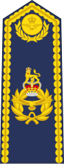 Air officers' ceremonial shoulder board