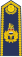 British RAF Air Officer (ceremonial shoulder board).svg