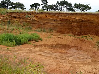 <span class="mw-page-title-main">Buckanay Farm Pit, Alderton</span> Protected area in Suffolk, England