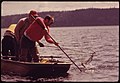 CRAB NETTING AT BRINNON TIDE FLAT ON THE HOOD CANAL BRINGS OUT LARGE CROWDS DURING THE SPRING AND SUMMER MINUS TIDES.... - NARA - 552282.jpg