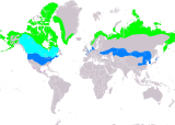 Aire de répartition du Bruant lapon
