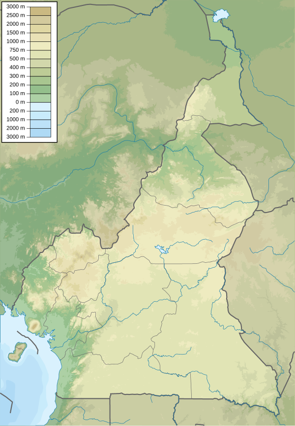 Sydvästra regionen (region i Kamerun)