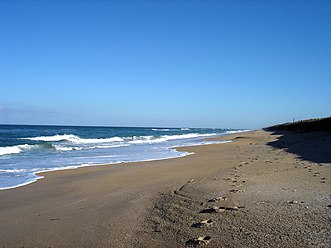 CanaveralNationalSeashore1.jpg