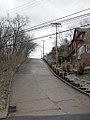 Canton Avenue in Beechview, the steepest officially-recorded public street in the US