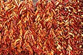 * Nomination Dried Capsicum, Mercado dos Lavradores, Funchal --Llez 06:30, 25 March 2020 (UTC) * Promotion  Support Good quality. --Uoaei1 06:40, 25 March 2020 (UTC)