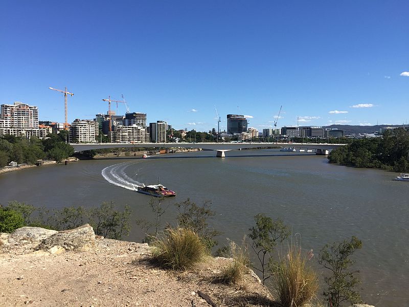 File:Captain Cook Bridge, Brisbane (seen from Kangaroo Point Cliffs).jpg