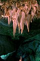 Carlsbad Caverns5.jpg