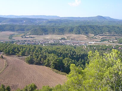 Com arribar a Castellolí amb transport públic - Sobre el lloc