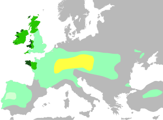 <span class="mw-page-title-main">Celts</span> Indo-European ethnolinguistic group