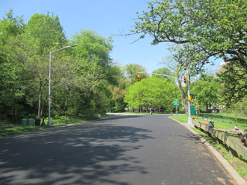 File:Central Park May 2019 131.jpg