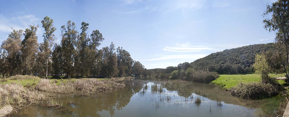 Río Valdeazogues