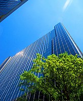 Charlotte Office, Charlotte Hines Plaza