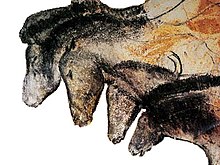 Profilde dört at kafasının mağara resmi.