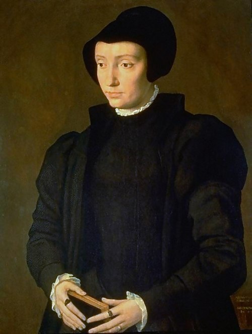 Portrait by Michiel Coxcie, 1545