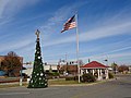 Christmas tree, flagpole