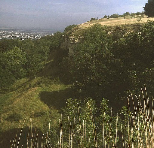 Cliff at Leckhampton Hill - geograph.org.uk - 1191524