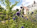 Cockenzie House Garden.