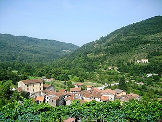 <span class="mw-page-title-main">Codiponte</span> Village in Tuscany, Italy