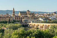 Córdoba 2024 - Views from the Guadalquivir