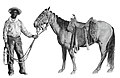 Cowboy & horse.jpg