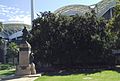 Creswell Gardens RossSmith MemorialOak AdelaideOval-looking-west.jpg