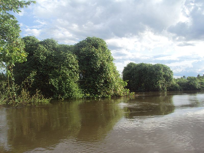 File:Cuiabá River 02.JPG