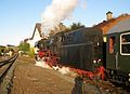 Dampflokgetriebener Sonderzug im Bahnhof Frankenberg (Eder) (2010) [546]