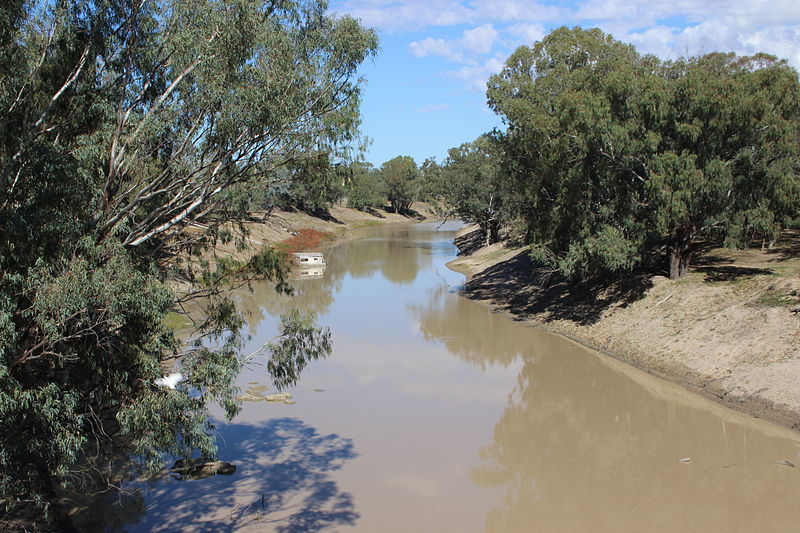 File:Darling River at Louth.JPG