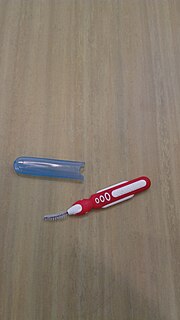 Thumbnail for File:Dentalux mini toothbrush, Oude Pekela (2019) 02.jpg