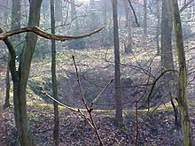 Bell pit in Middleton Park, Leeds Depression showing where old mine workings were..jpg