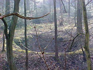 A collapsed bell pit, evidence of early coal mining in Middleton Woods Depression showing where old mine workings were..jpg