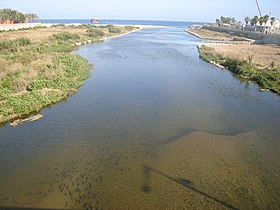 Ústí řeky Besòs, v jejím korytě jsou vidět ryby - panoramio.jpg
