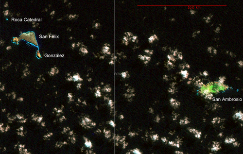 NASA Landsat 7 Pseudo Geocover 2000, Worldwind – Desventuradas-Inseln; San Ambrosio am rechten Bildrand