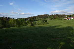 Dillenberg above the houses of the Siegfriedsiedlung on the eastern outskirts of Oberreifenberg.