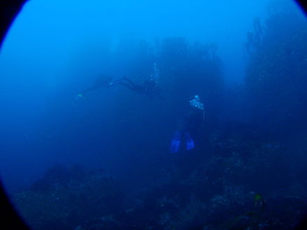 Divers on Klein Tafelberg reef