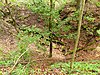 Doline im Bietigheimer Forst (Bietigheim-Bissingen), Schutzgebiets-Nr 81180790004, 2021-05-02, yj.jpg