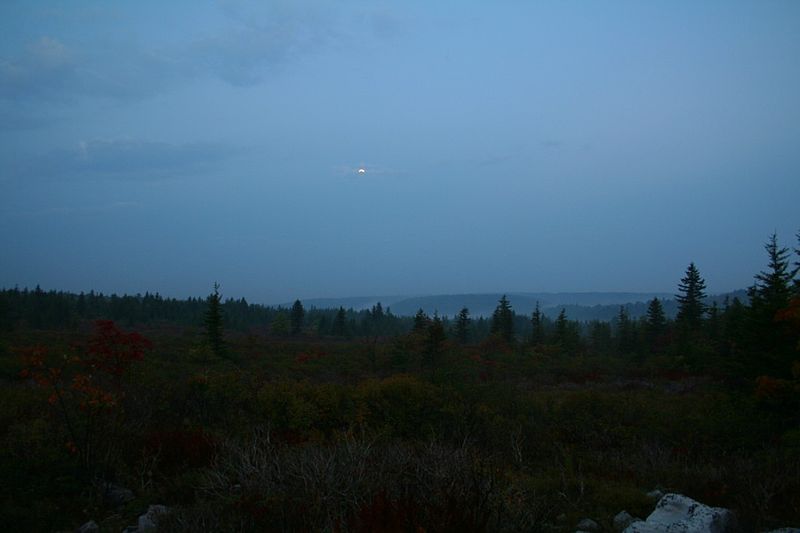 File:Dolly-sods-fall-morning-1 - West Virginia - ForestWander.jpg