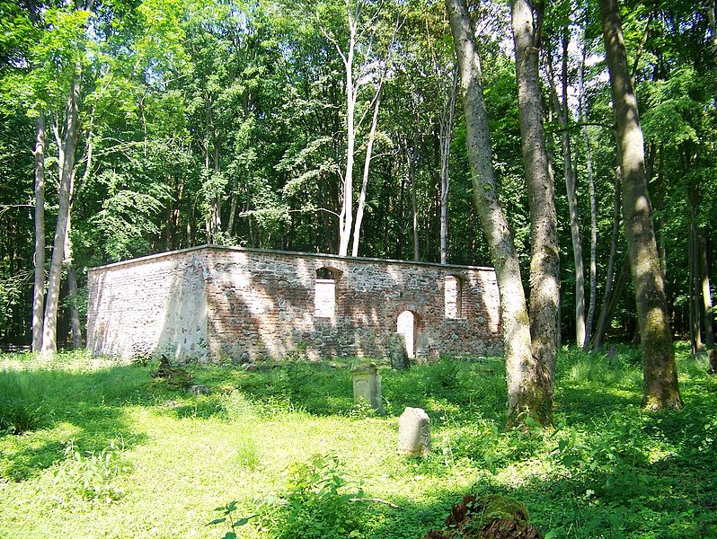 File:Drawienski Park Narodowy - Ostrowiec - ruiny kosciola.jpg