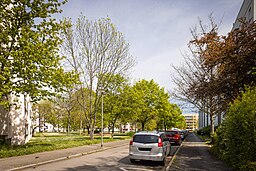 Mühlbacher Straße in Dresden